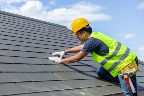 Best Roof Moss and Algae Removal  in North Muskegon, MI