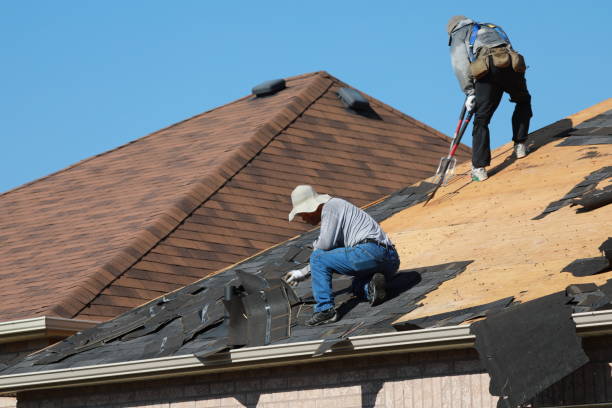 Best Roof Ventilation Installation  in North Muskegon, MI