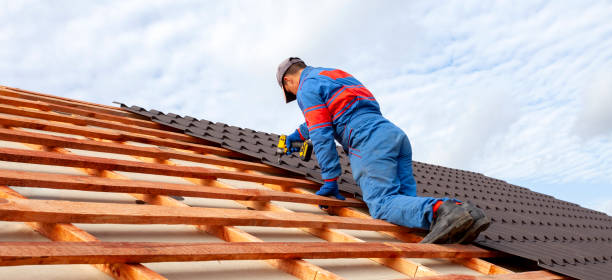 Best Solar Panel Roofing Installation  in North Muskegon, MI