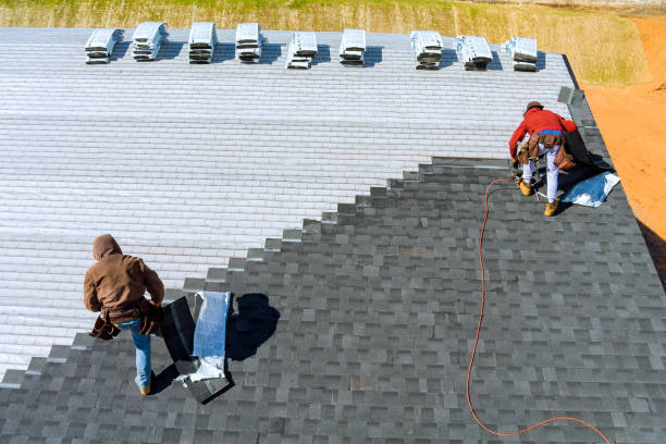 Best Roof Leak Repair  in North Muskegon, MI