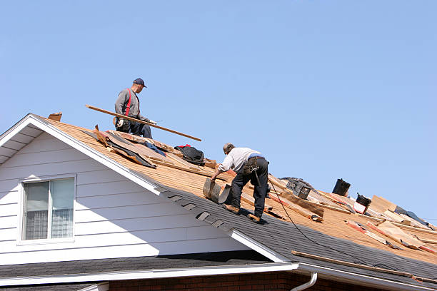 Best Roof Moss and Algae Removal  in North Muskegon, MI